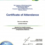 2010